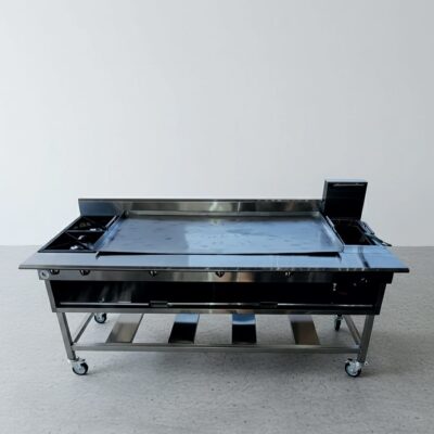 Plancha con freidora y 2 quemadores